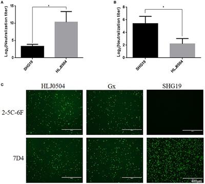 Residues 318 and 323 in capsid protein are involved in immune circumvention of the atypical epizootic infection of infectious bursal disease virus